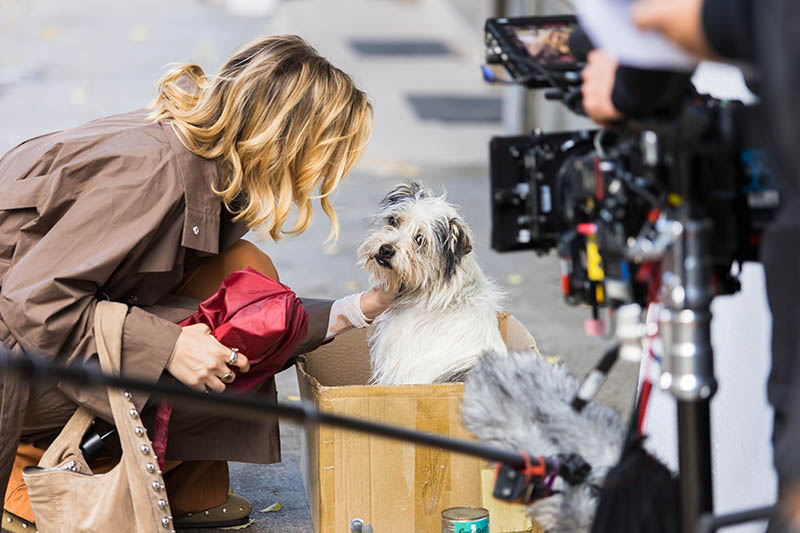 Még egy kívánság